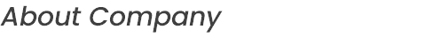 About Company